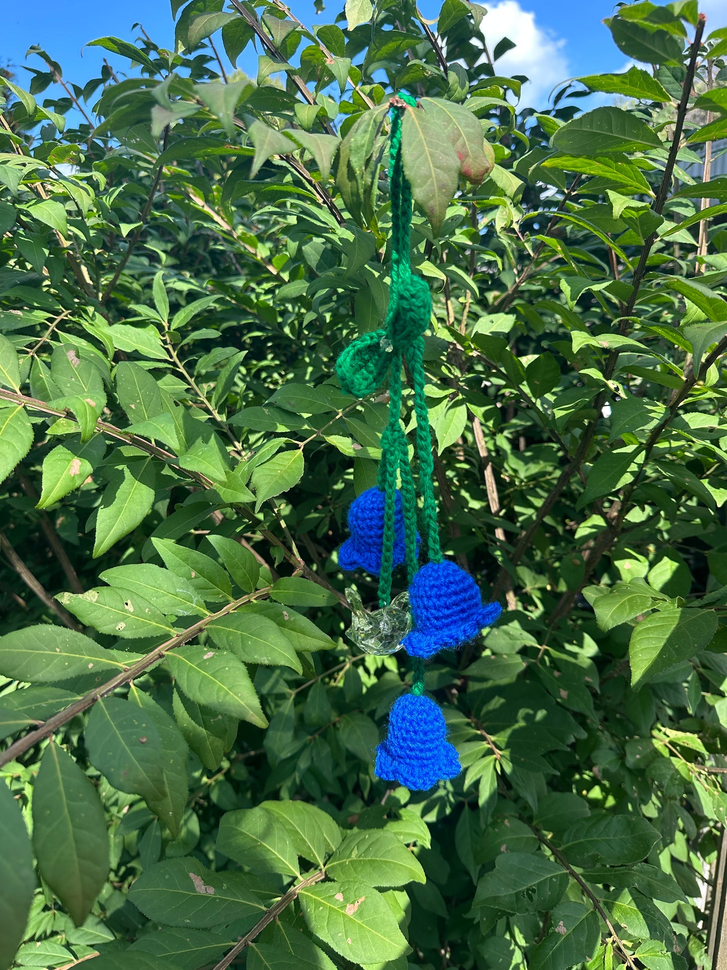 Hanging Flowers